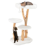 GYMAX Solid Wood Cat Tree, Modern Wooden Cat Tower with Perch