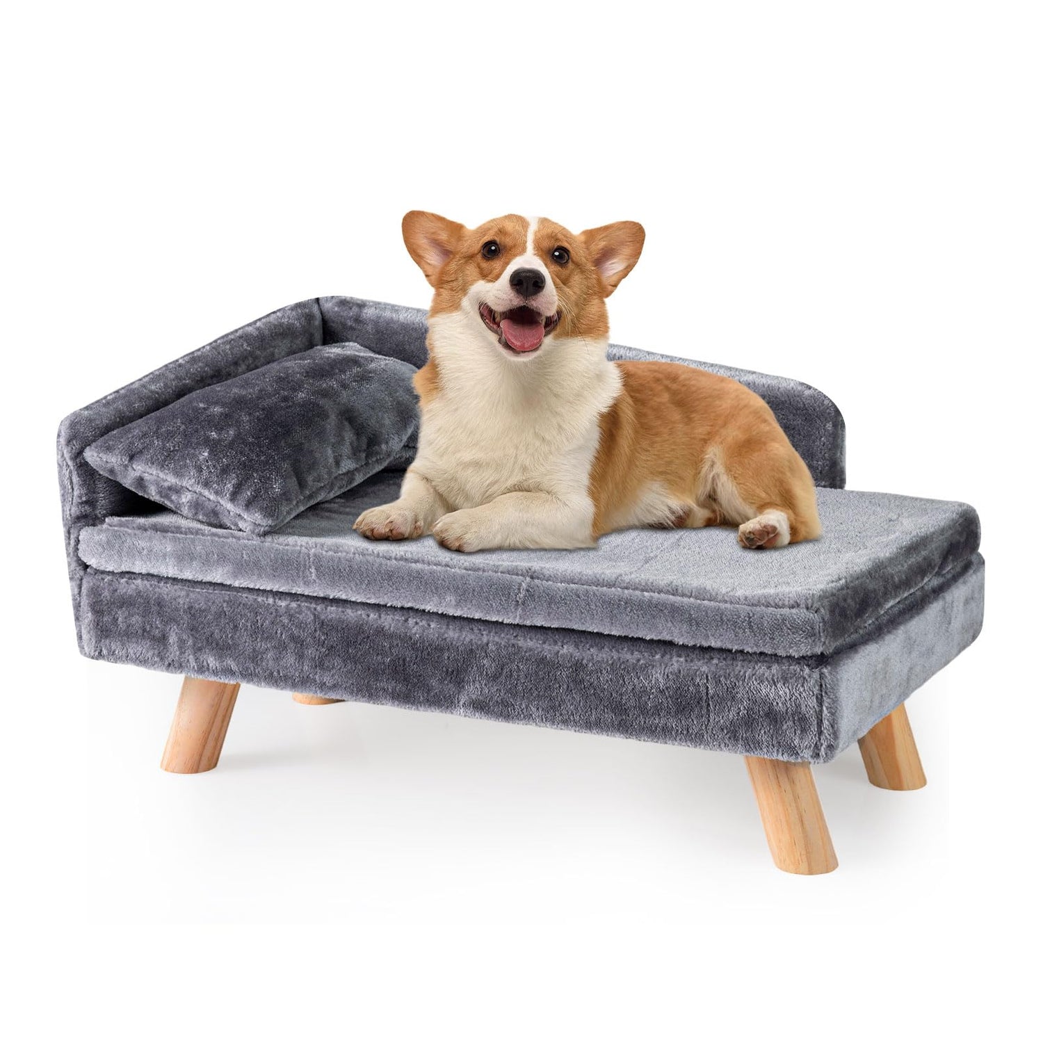 Elevated Pet Bed for Medium and Small Dogs Puppies Cats Kittens