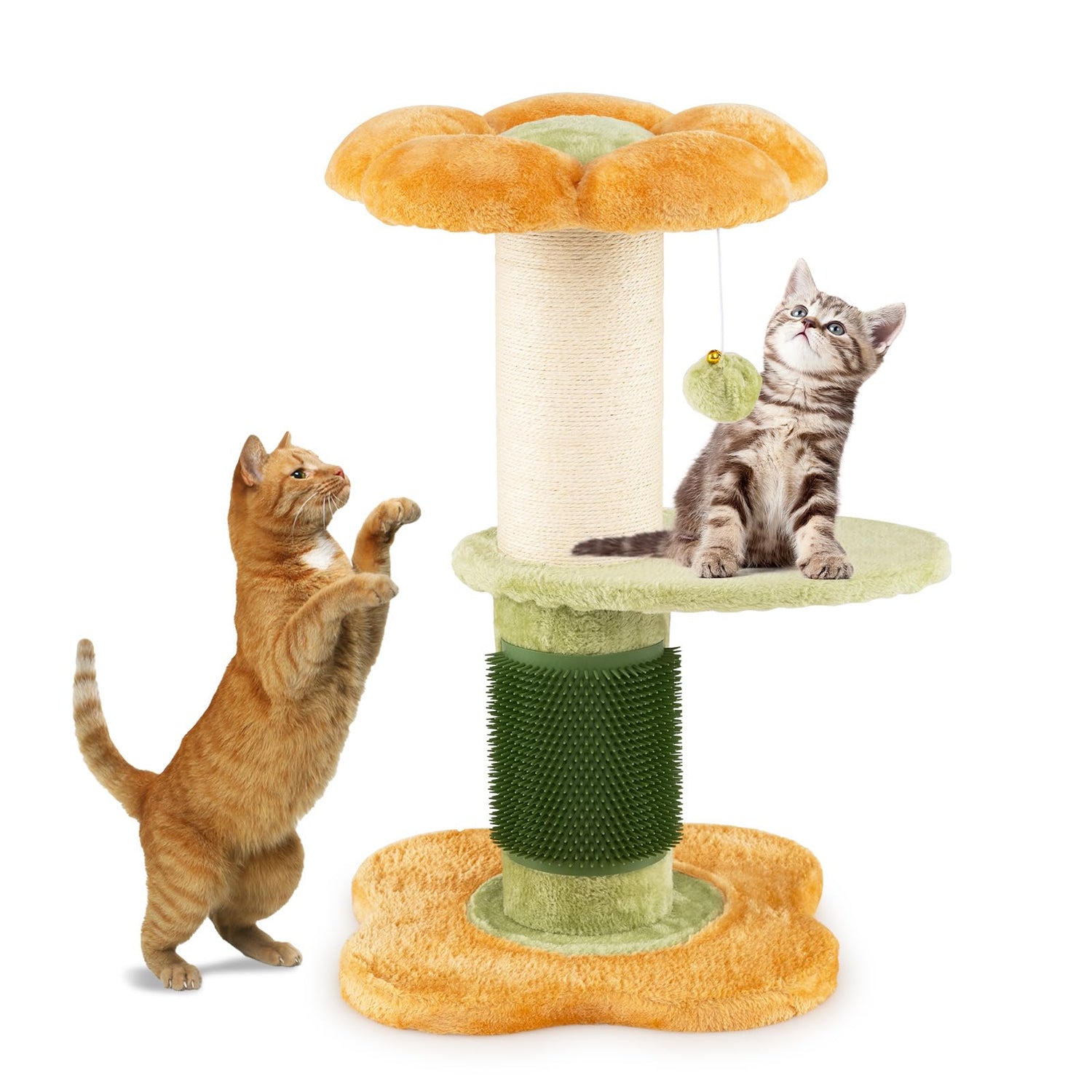 Cute Flower-Themed Kitten Activity Center for Indoor Cats