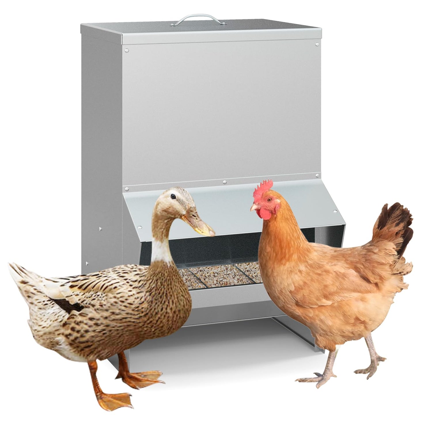GYMAX 22kg Wall Mount Automatic Poultry Feeder with Lid