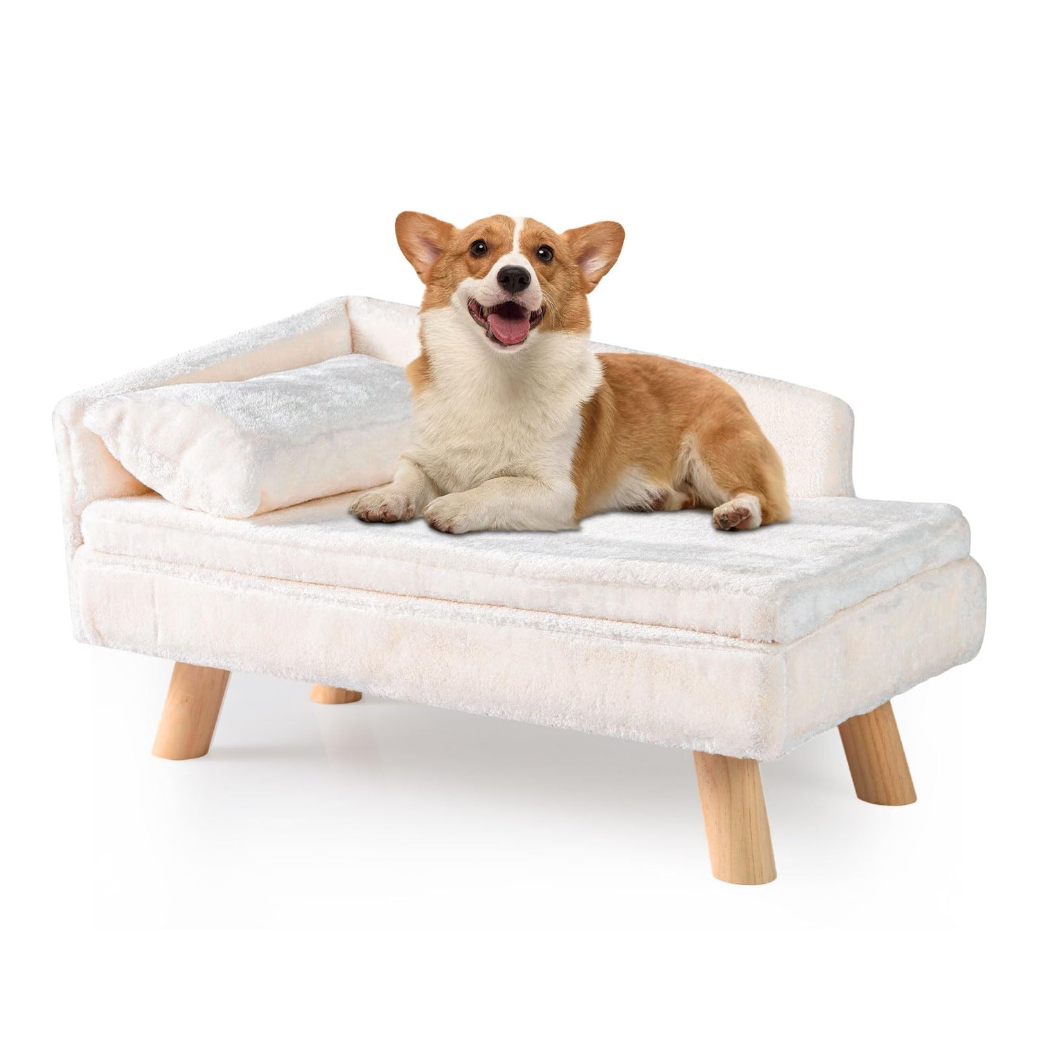 Elevated Pet Bed for Medium and Small Dogs Puppies Cats Kittens
