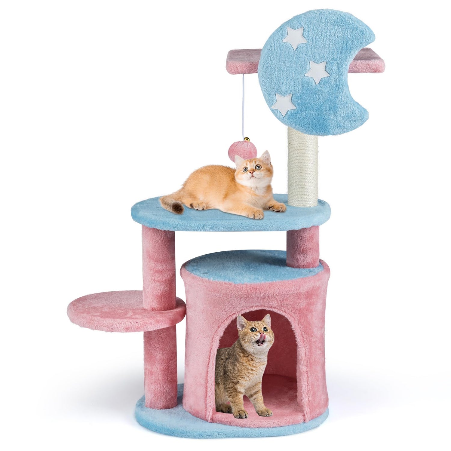 Cute Fluffy Kitten Activity Center for Indoor Cats