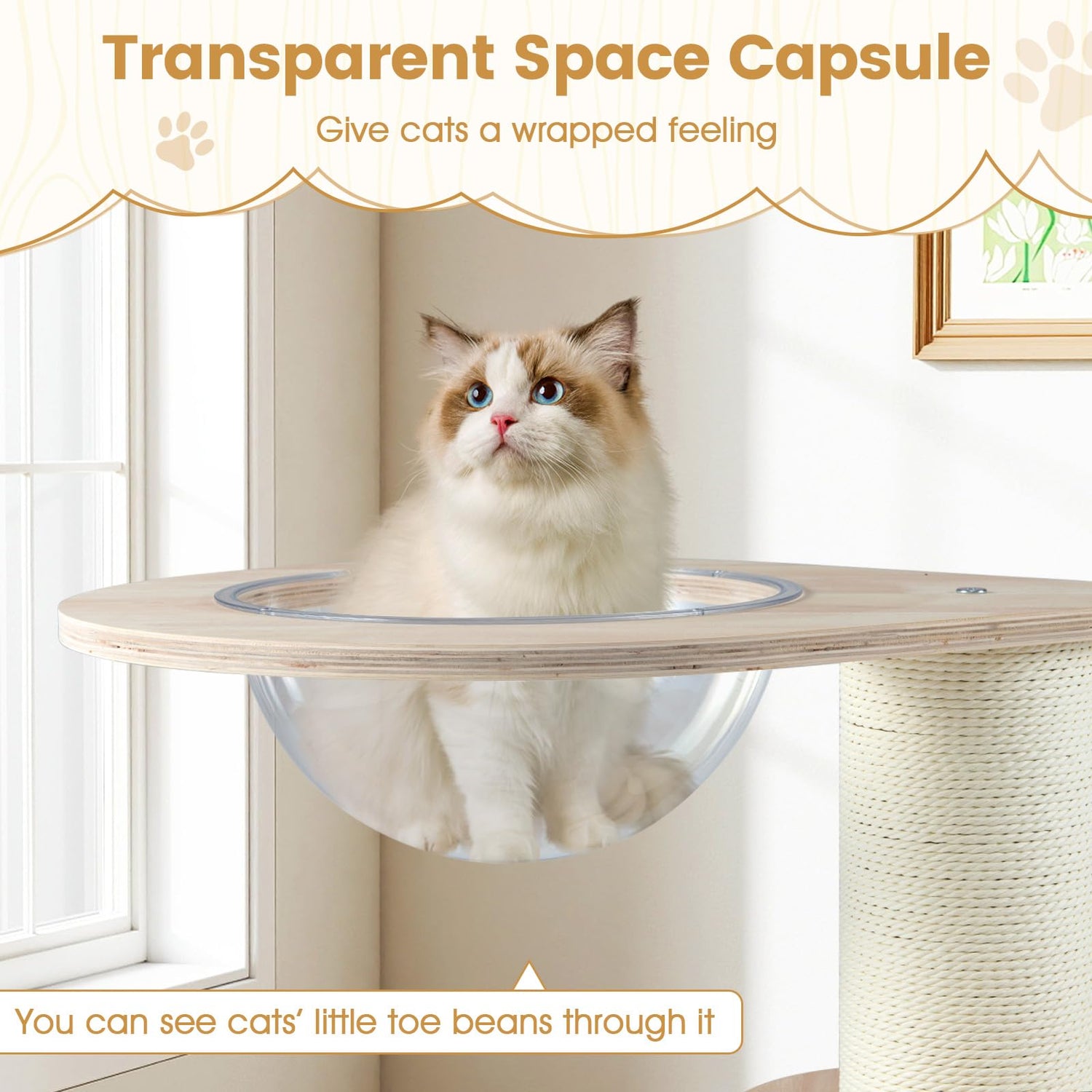 Wooden Cat Tree 3-Level Cute Kitten Tower with Condo Space Capsule Scratching Posts