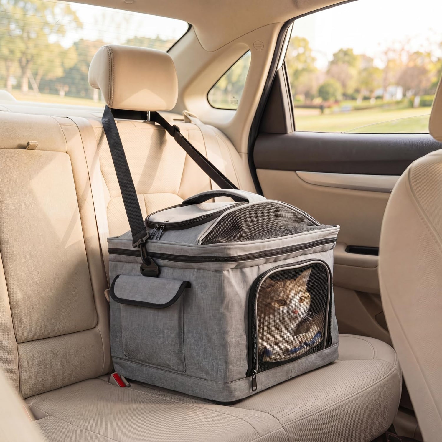 Pet Carrier with Wheels, Foldable Pet Carrier with Telescopic Handle