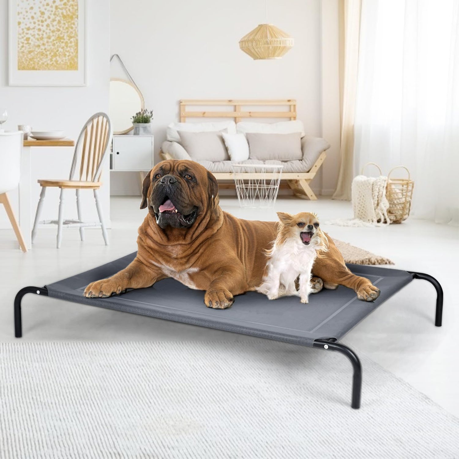 GYMAX Metal Frame Raised Dog Bed with Anti-Slip Foot Pads
