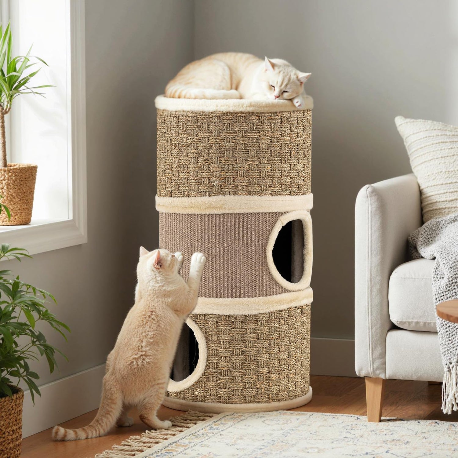 Cat House for Indoor Cats, 3/4-Story Cat Hideaway Cave Bed